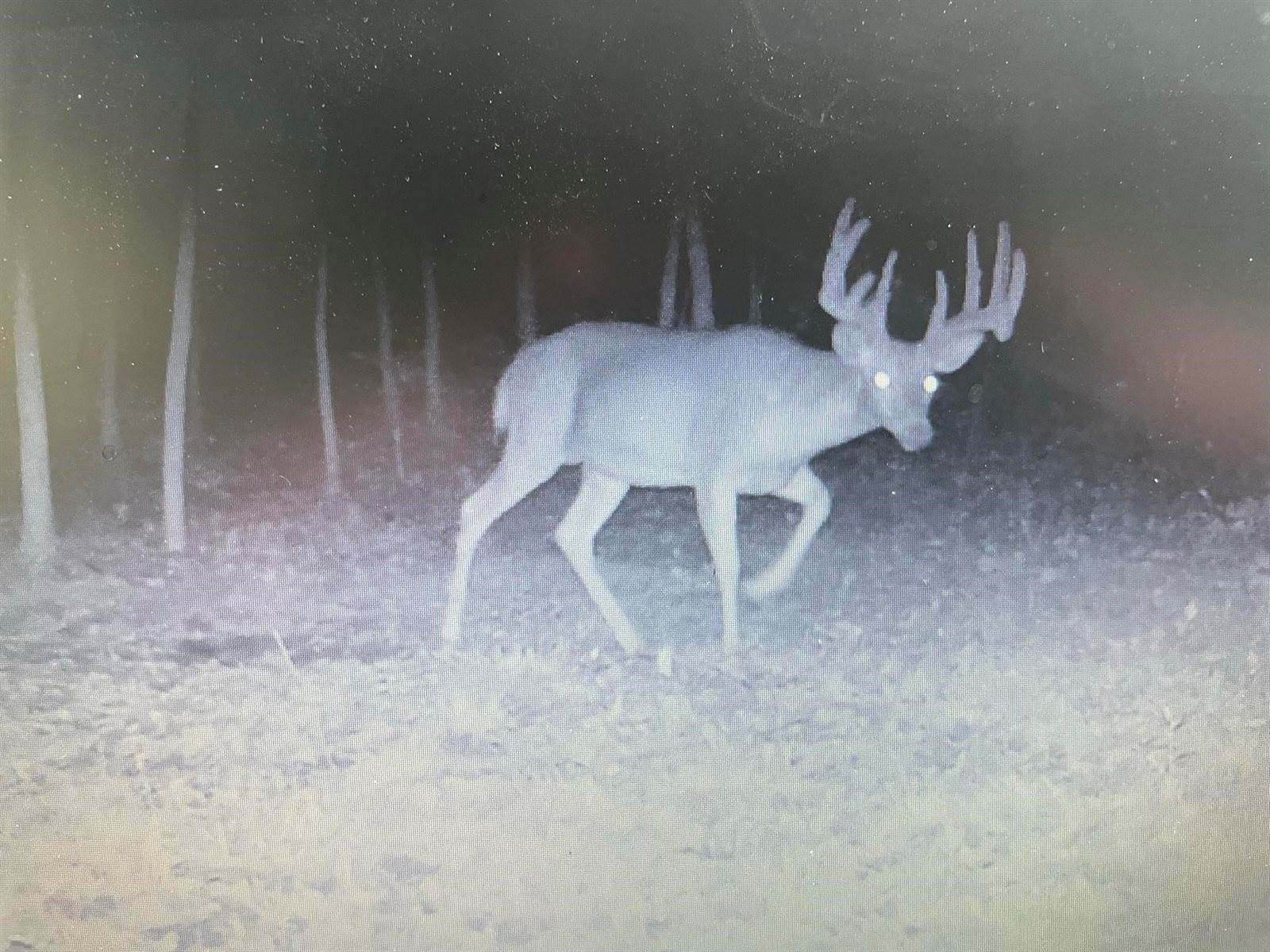 14.66 Acres Sand Hill, Akan, WI 53913