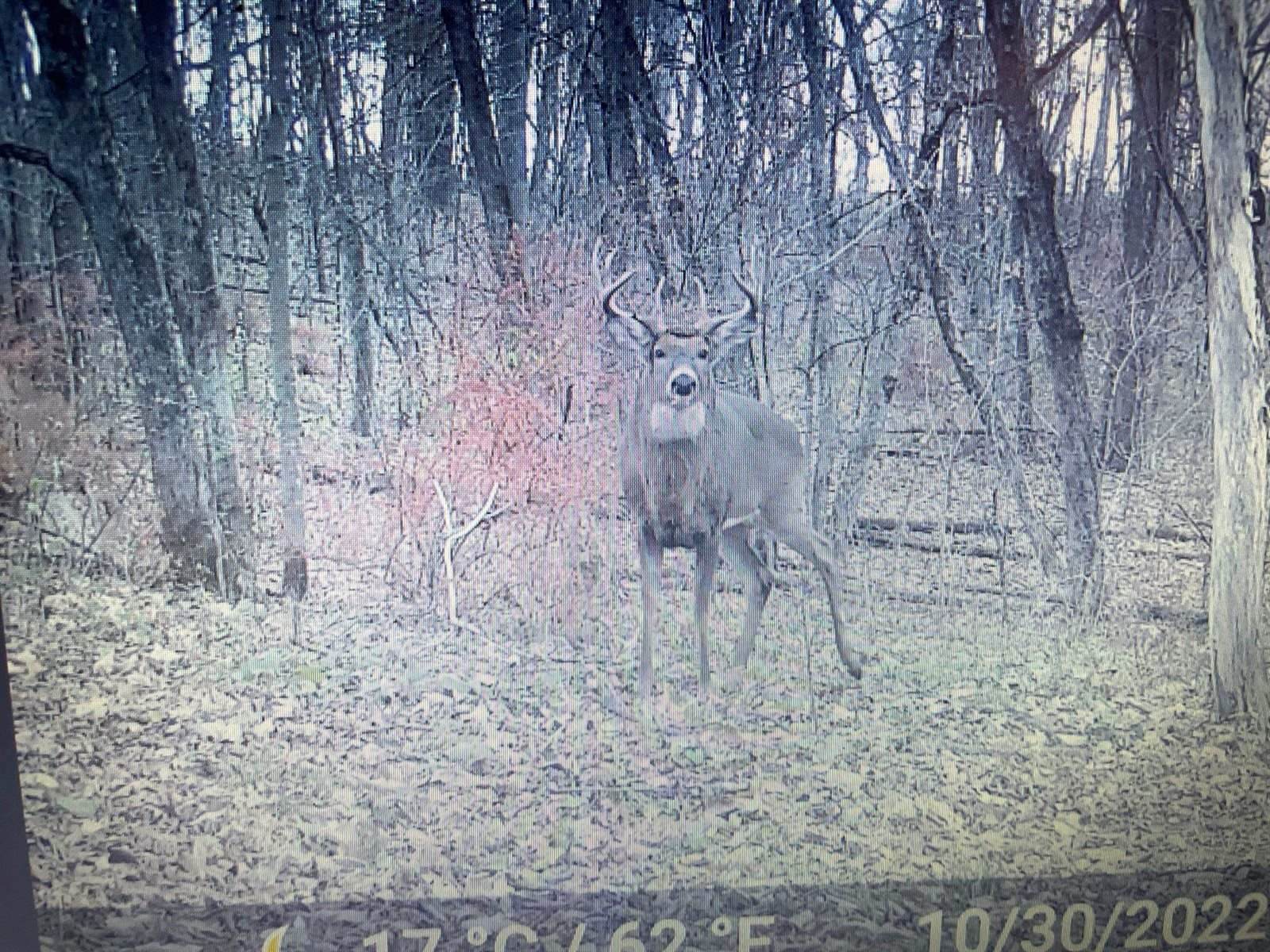 14.66 Acres Sand Hill, Akan, WI 53913