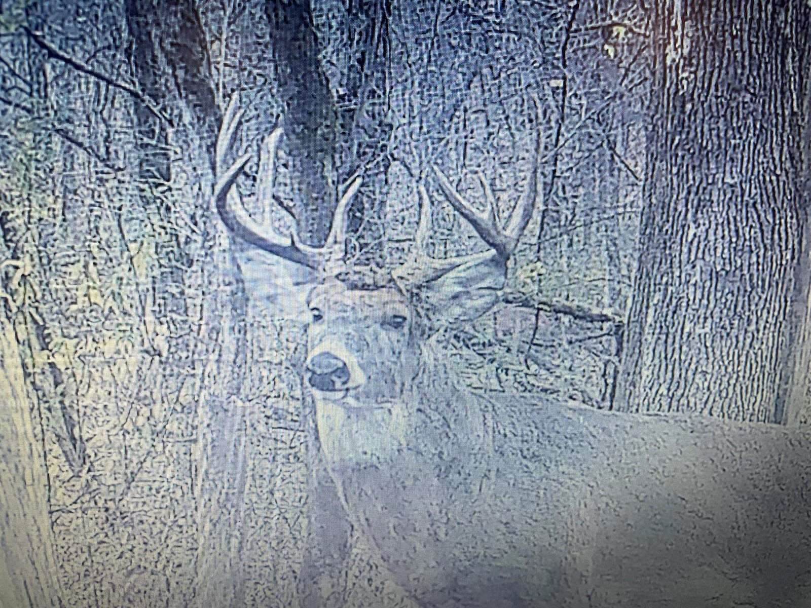 14.66 Acres Sand Hill, Akan, WI 53913