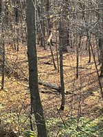 14.66 Acres Sand Hill, Akan, WI 53913