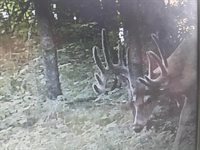 14.66 Acres Sand Hill, Akan, WI 53913