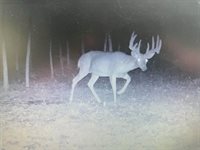 14.66 Acres Sand Hill, Akan, WI 53913