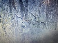 14.66 Acres Sand Hill, Akan, WI 53913