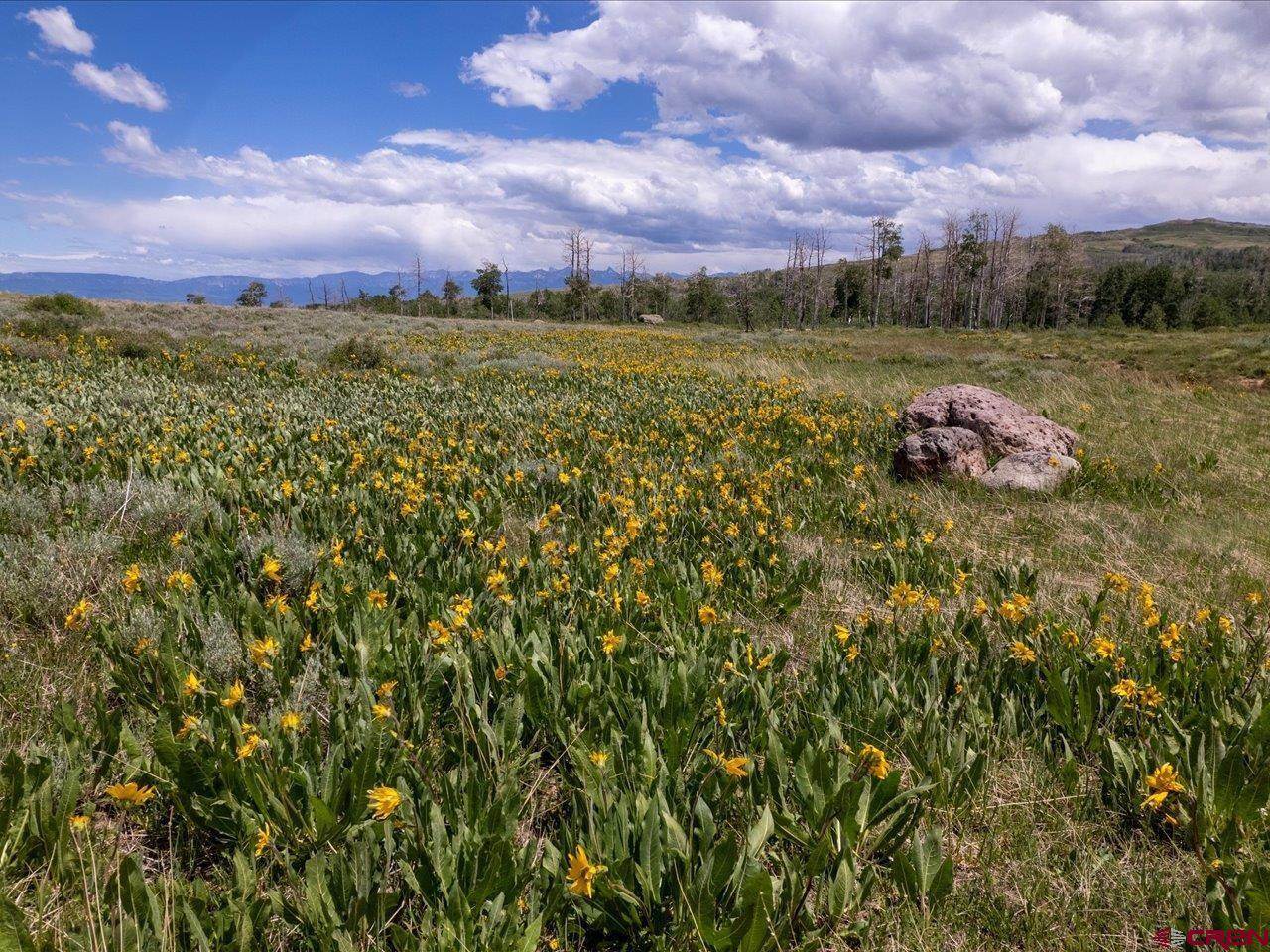 11 Red Cloud Circle, Montrose, CO 81403