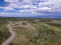 11 Red Cloud Circle, Montrose, CO 81403