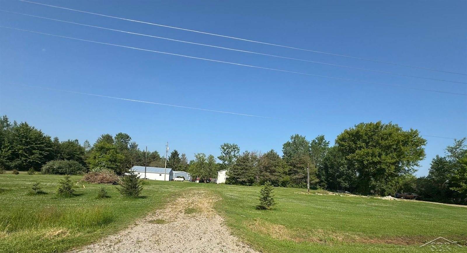 14382 S Chapin Road, Elsie, MI 48831