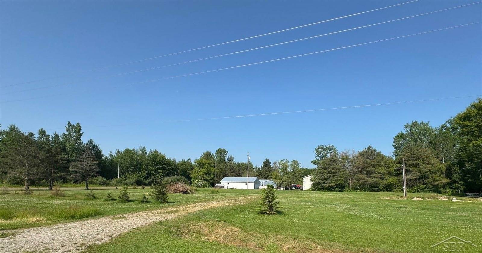 14382 S Chapin Road, Elsie, MI 48831