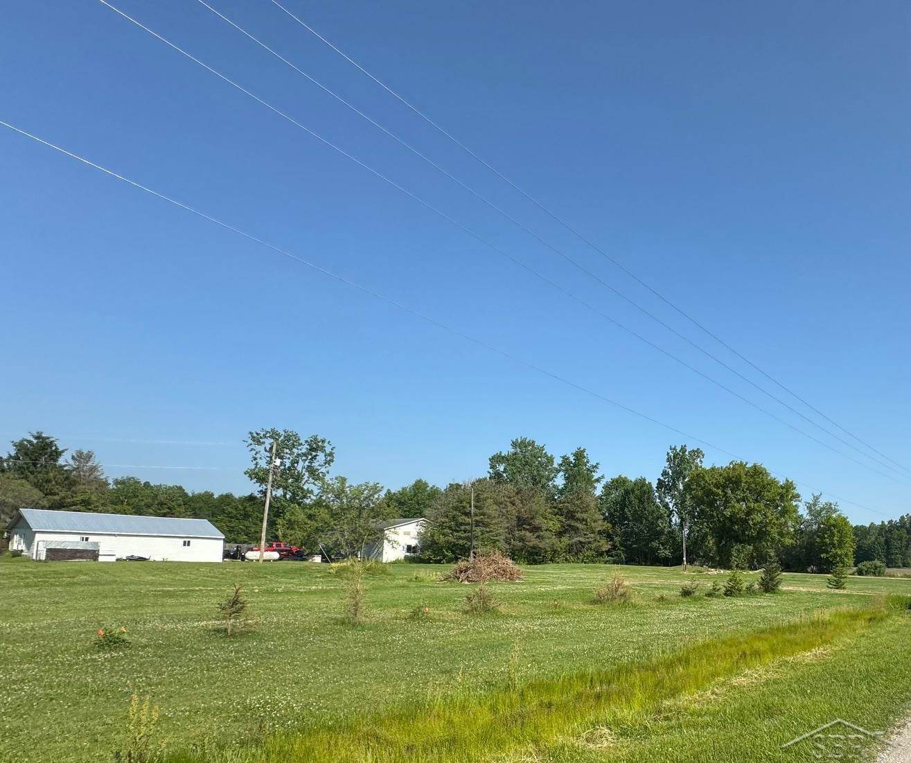 14382 S Chapin Road, Elsie, MI 48831