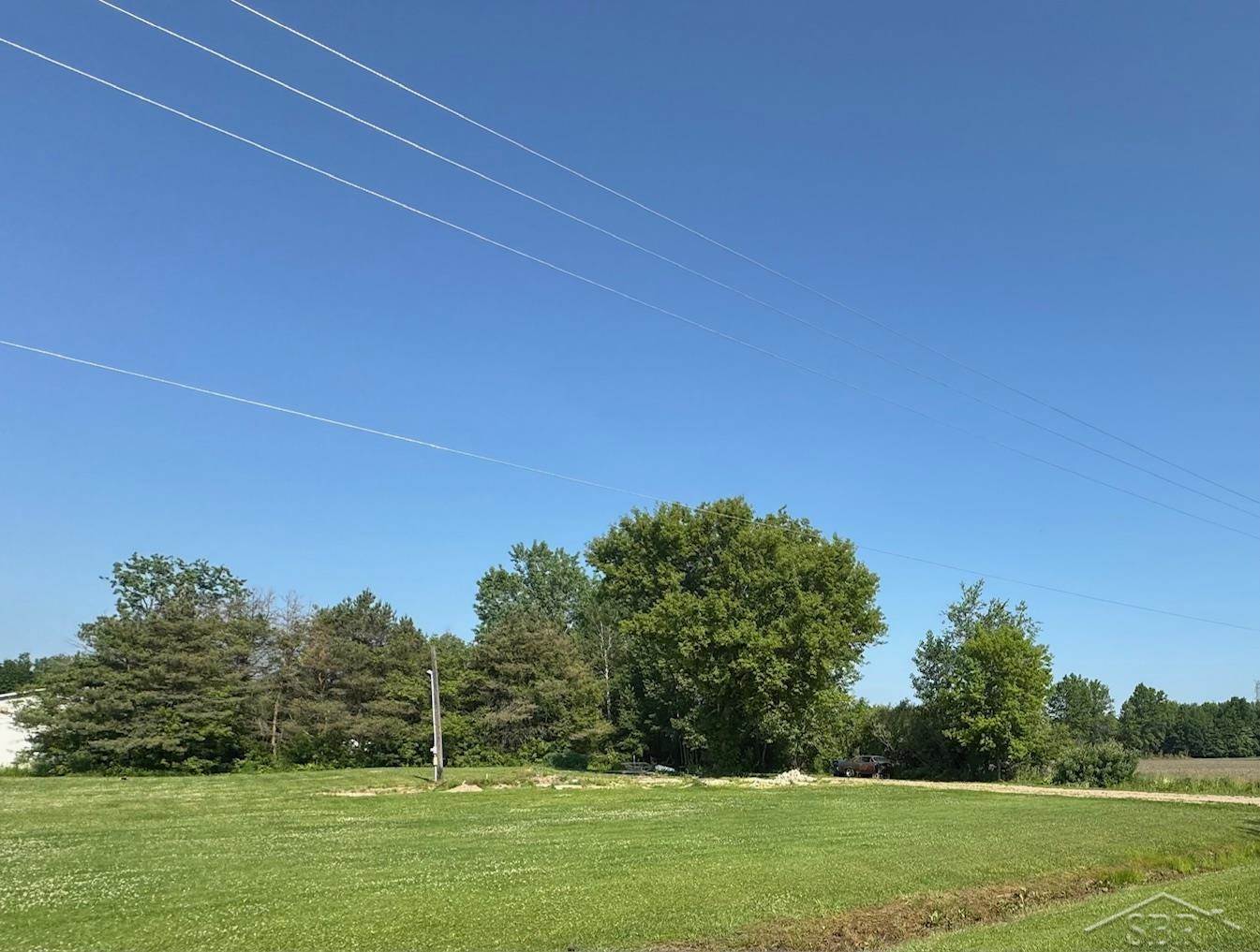 14382 S Chapin Road, Elsie, MI 48831