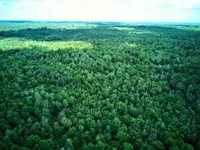 199 Middle Road, Bradford, ME 04410