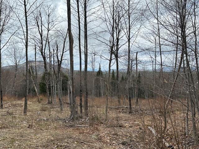 33 Bay View Drive, Greenville, ME 04441