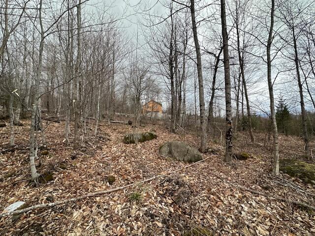 33 Bay View Drive, Greenville, ME 04441