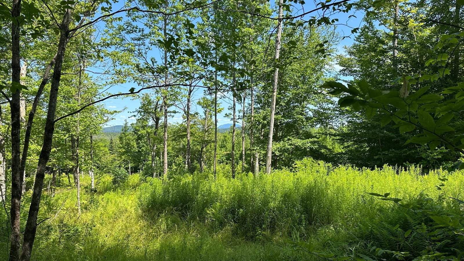 33 Bay View Drive, Greenville, ME 04441