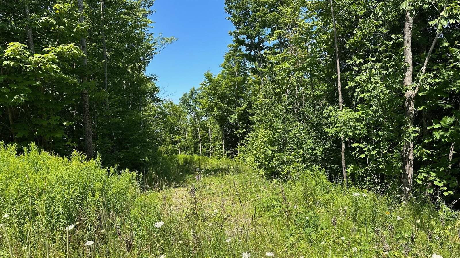 33 Bay View Drive, Greenville, ME 04441