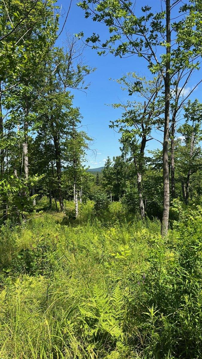 33 Bay View Drive, Greenville, ME 04441