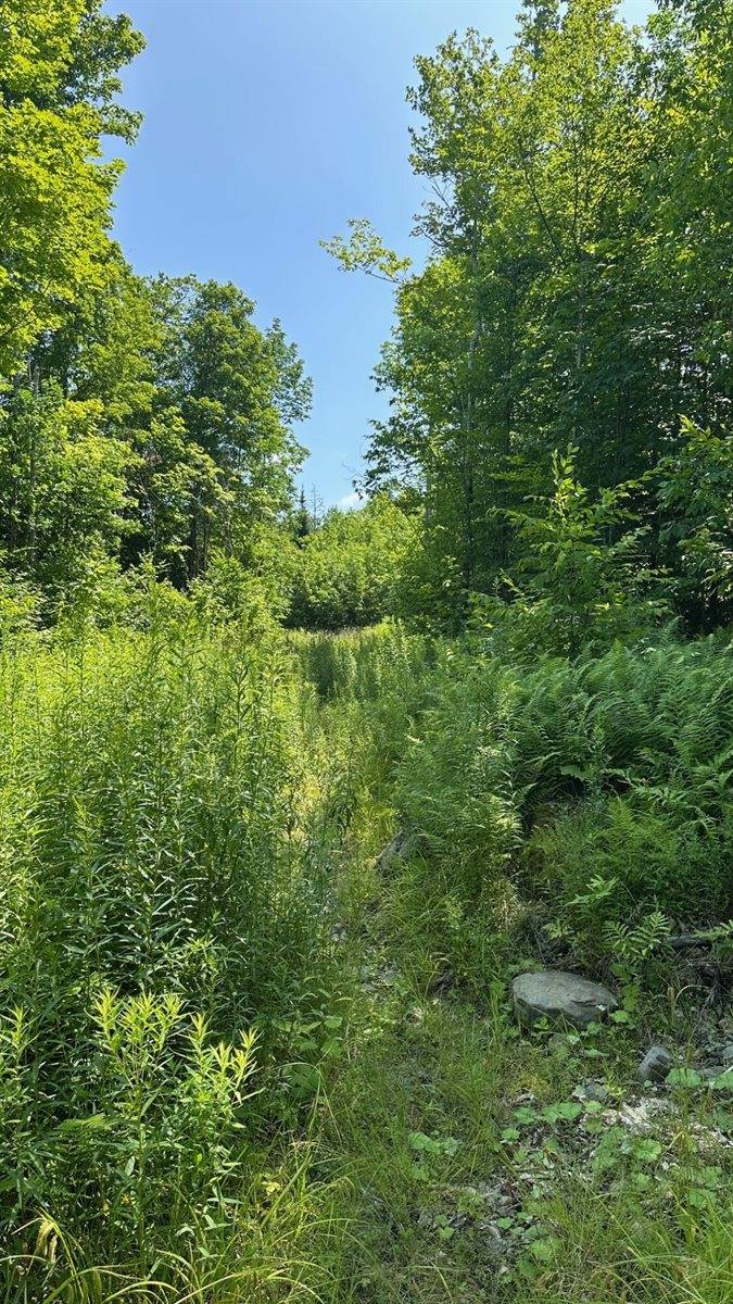 33 Bay View Drive, Greenville, ME 04441