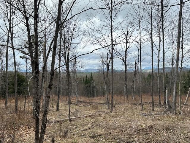 33 Bay View Drive, Greenville, ME 04441