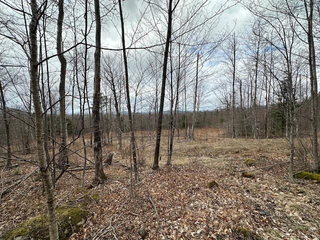 33 Bay View Drive, Greenville, ME 04441