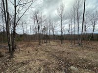 33 Bay View Drive, Greenville, ME 04441