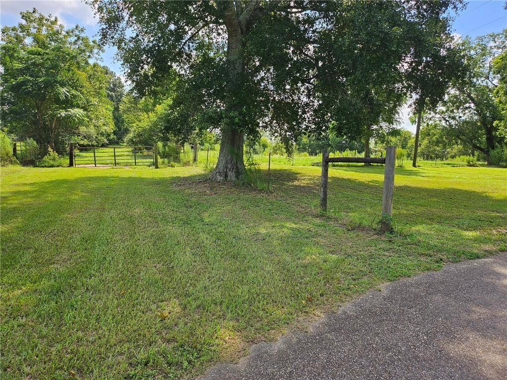 25176 SEALS Road 95 +/- acres, Kentwood, LA 70444