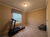 25176 SEALS Road 95 +/- acres, Kentwood, LA 70444