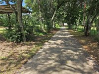 25176 SEALS Road 95 +/- acres, Kentwood, LA 70444