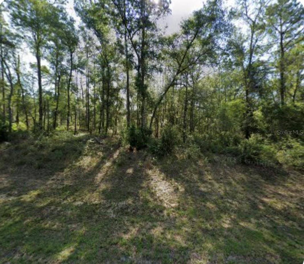 8965 North Lily Drive, Dunnellon, FL 34434