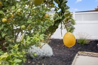 176 Chaucer Lane, Ventura, CA 93003