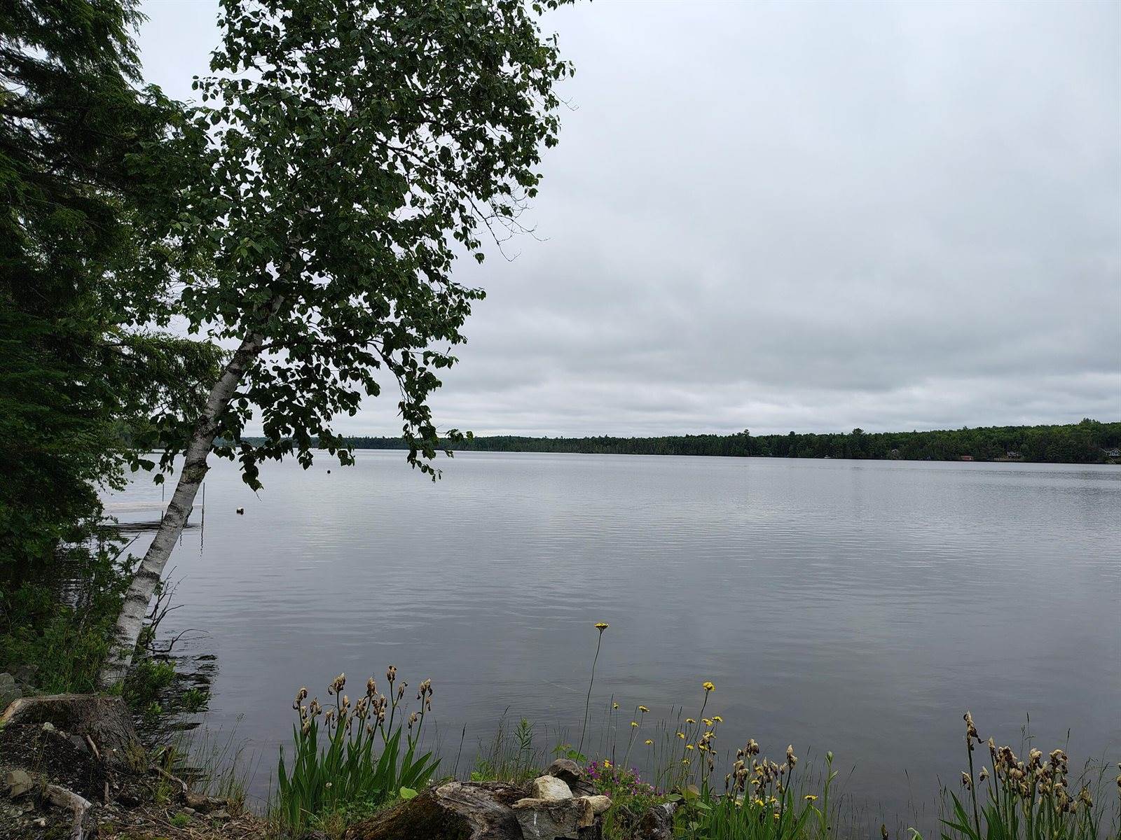 114 East Shore Road, Benedicta Township, ME 04733