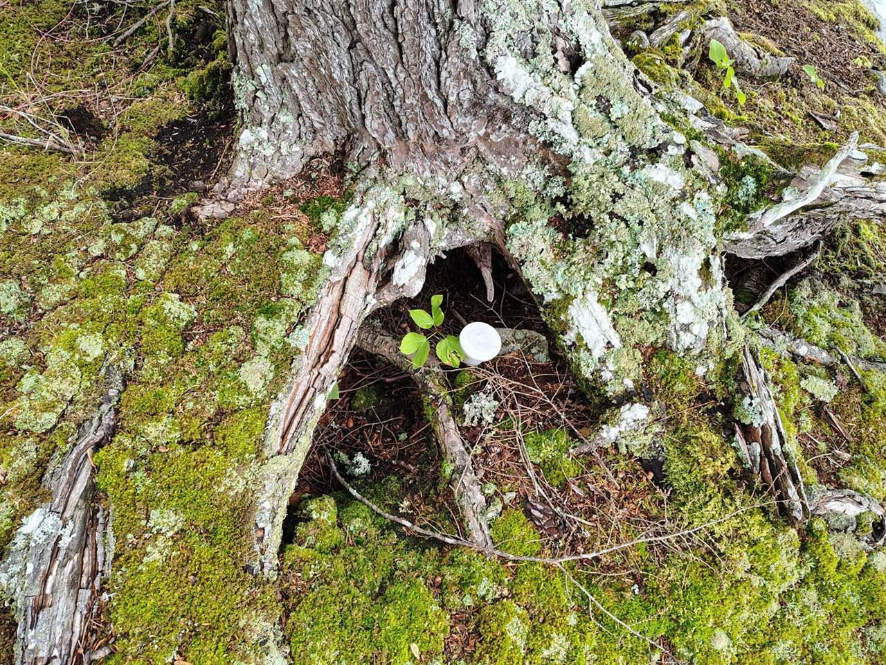 114 East Shore Road, Benedicta Township, ME 04733