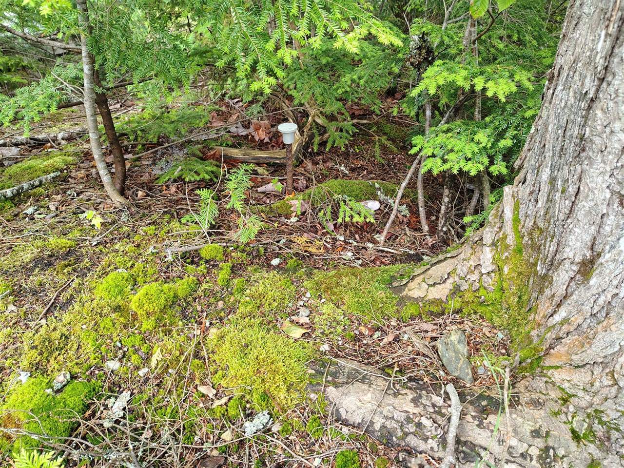 114 East Shore Road, Benedicta Township, ME 04733