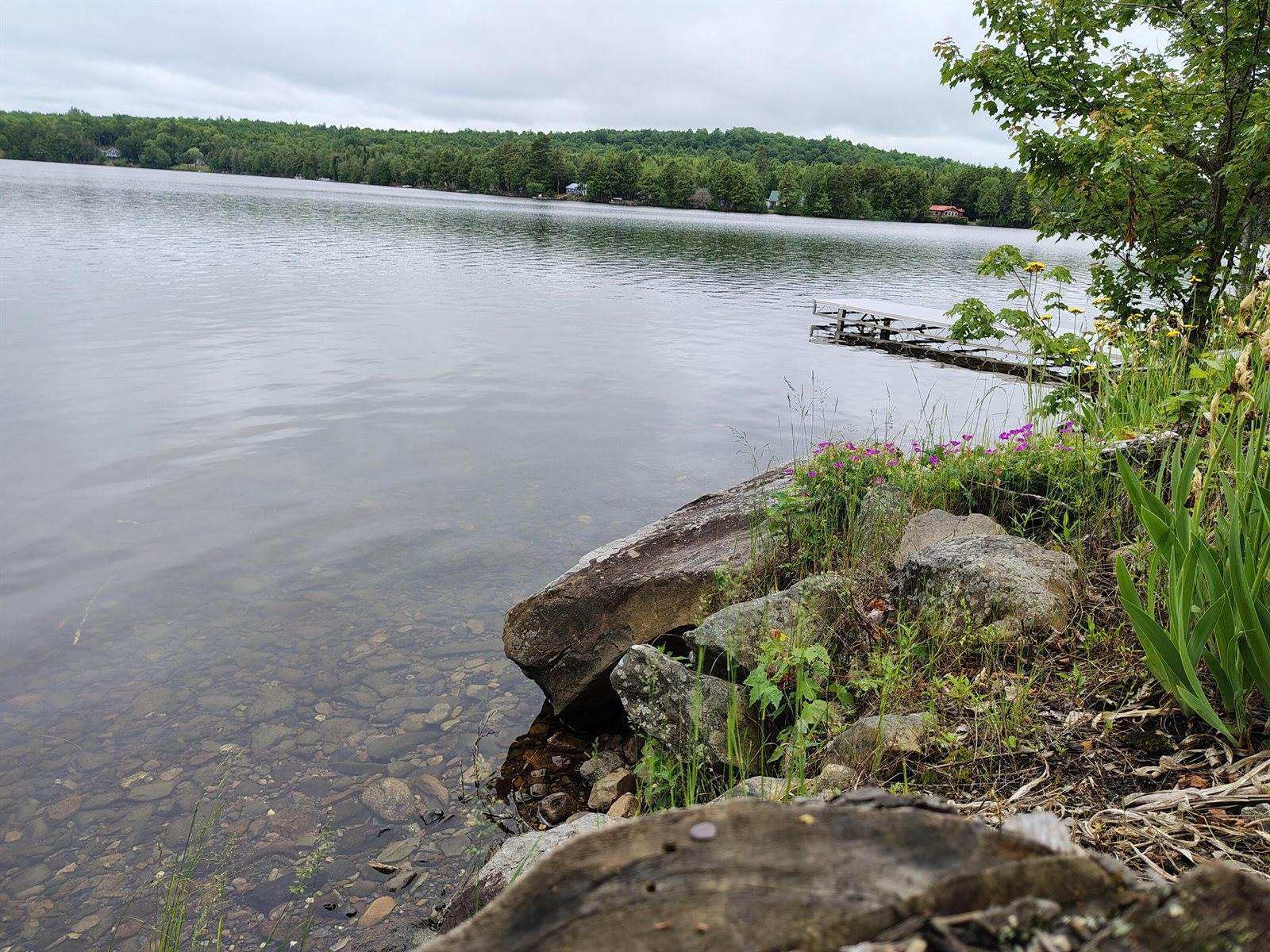 114 East Shore Road, Benedicta Township, ME 04733