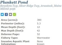 114 East Shore Road, Benedicta Township, ME 04733