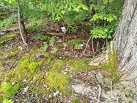 114 East Shore Road, Benedicta Township, ME 04733