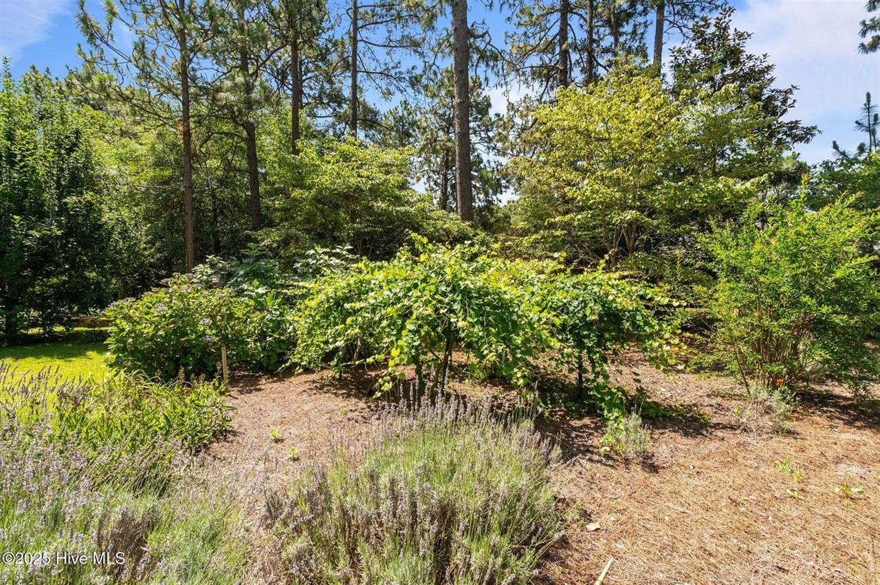 15 Magnolia Avenue, Pinehurst, NC 28374