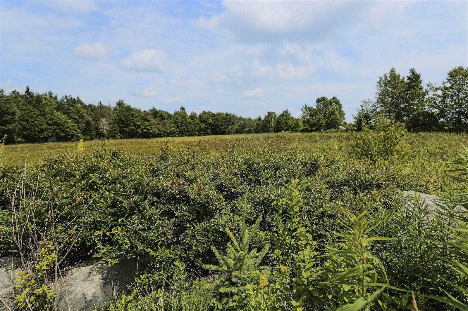 MAP13LOT4 Martins Ridge Road, Franklin, ME 04634