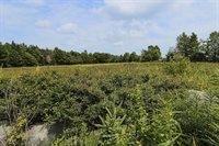 MAP13LOT4 Martins Ridge Road, Franklin, ME 04634