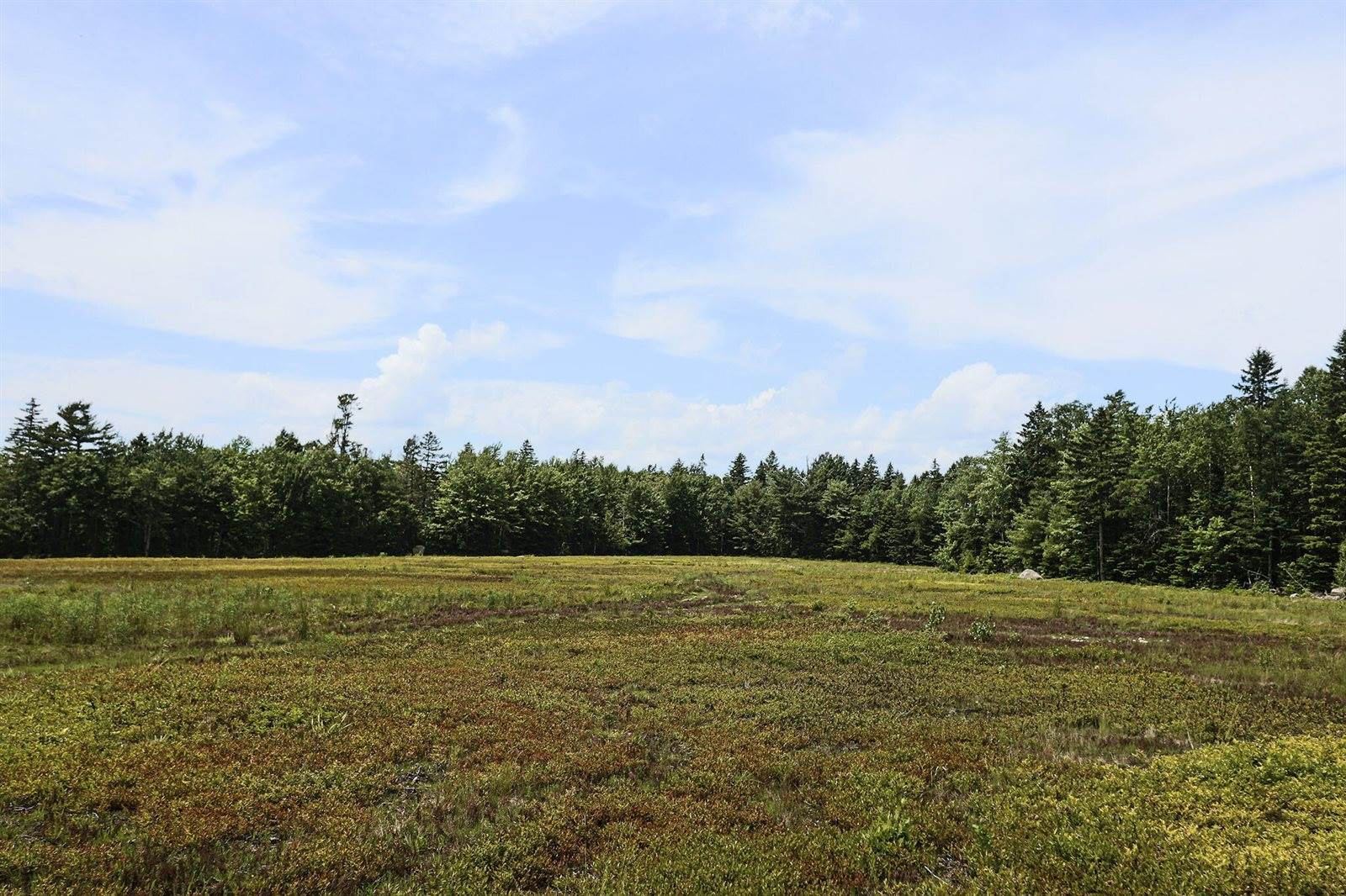 MAP13LOT9 Martins Ridge Road, Franklin, ME 04634