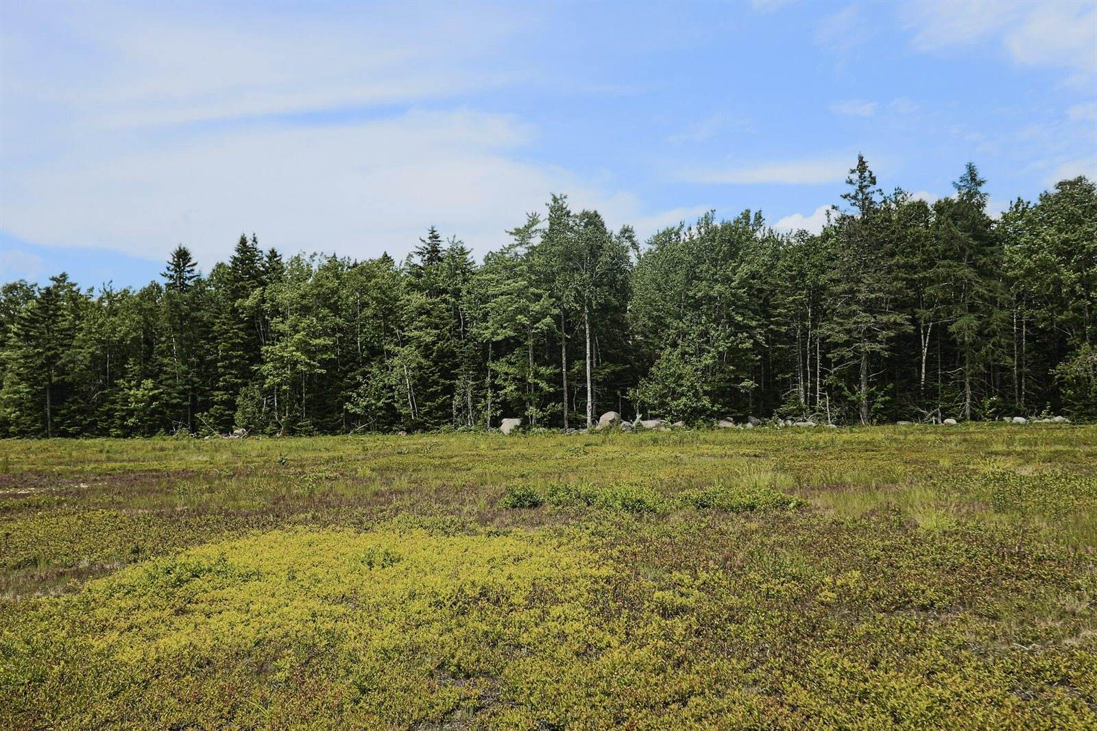 MAP13LOT9 Martins Ridge Road, Franklin, ME 04634