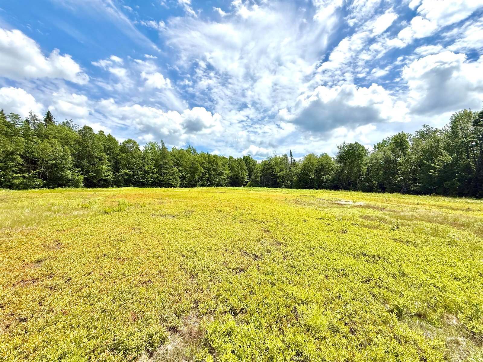 MAP13LOT9 Martins Ridge Road, Franklin, ME 04634