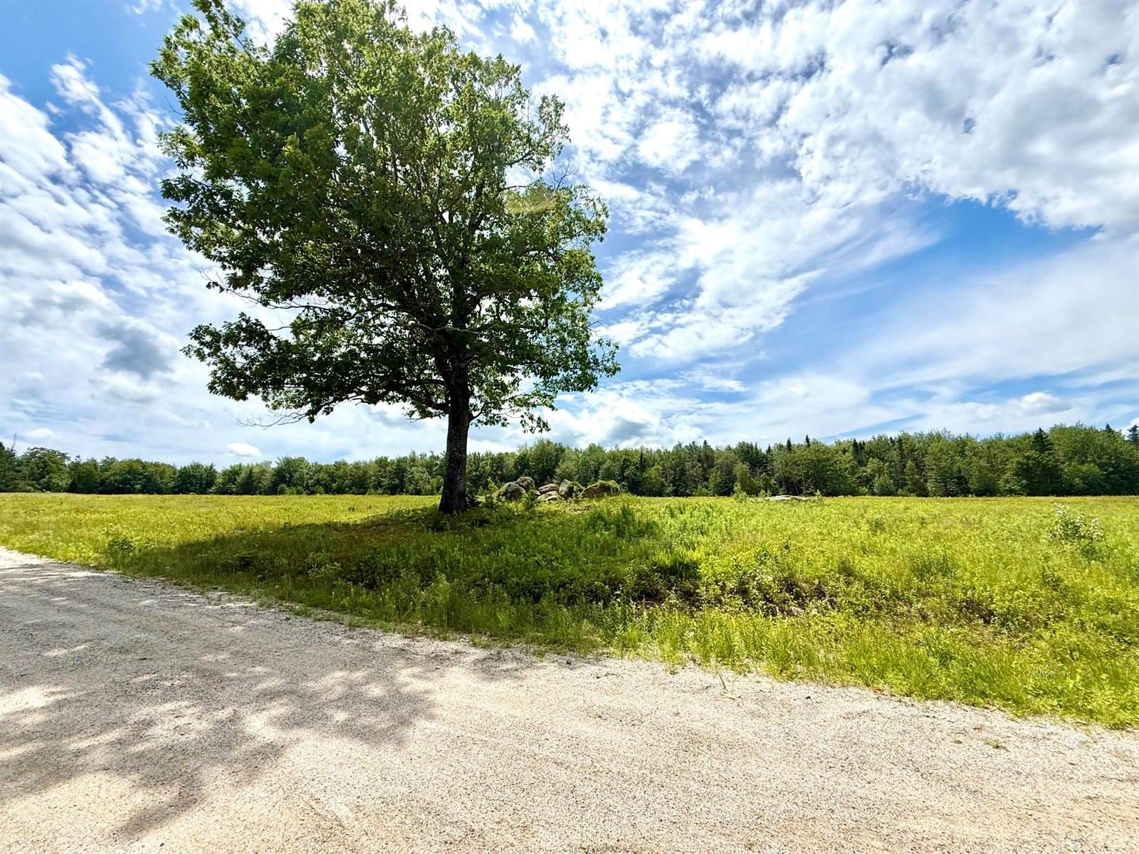 MAP13LOT9 Martins Ridge Road, Franklin, ME 04634