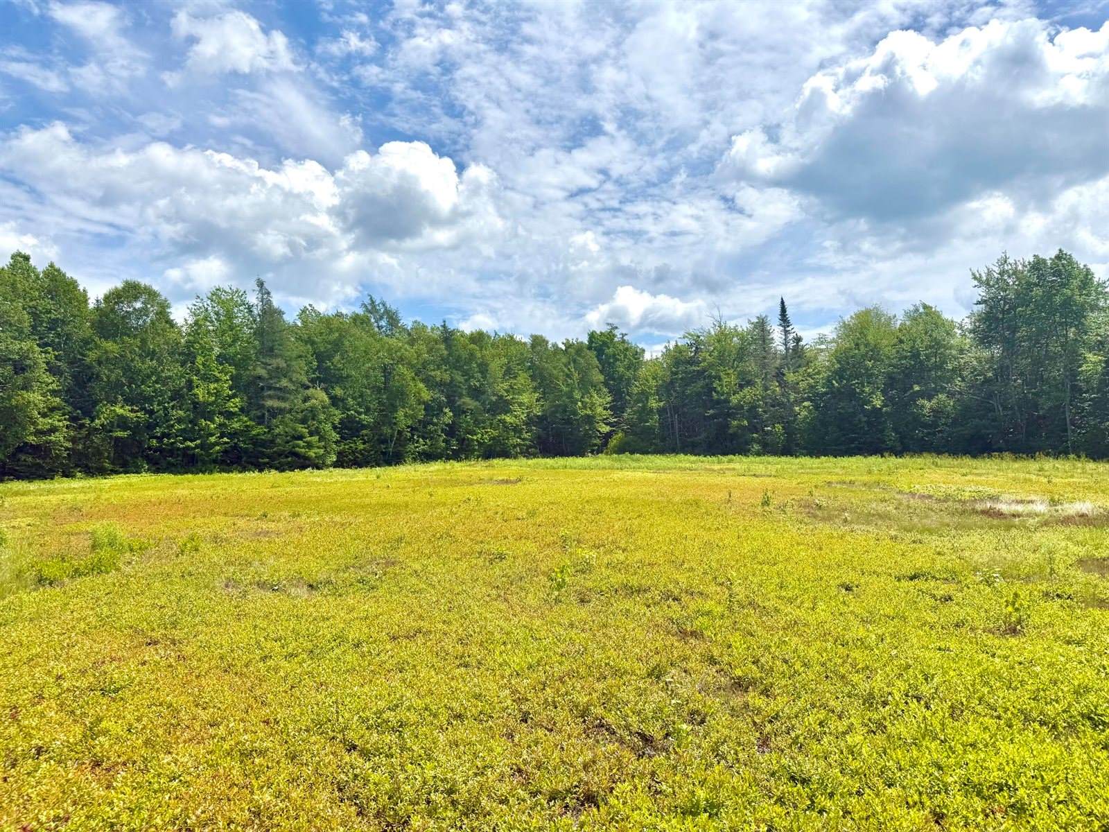 MAP13LOT9 Martins Ridge Road, Franklin, ME 04634