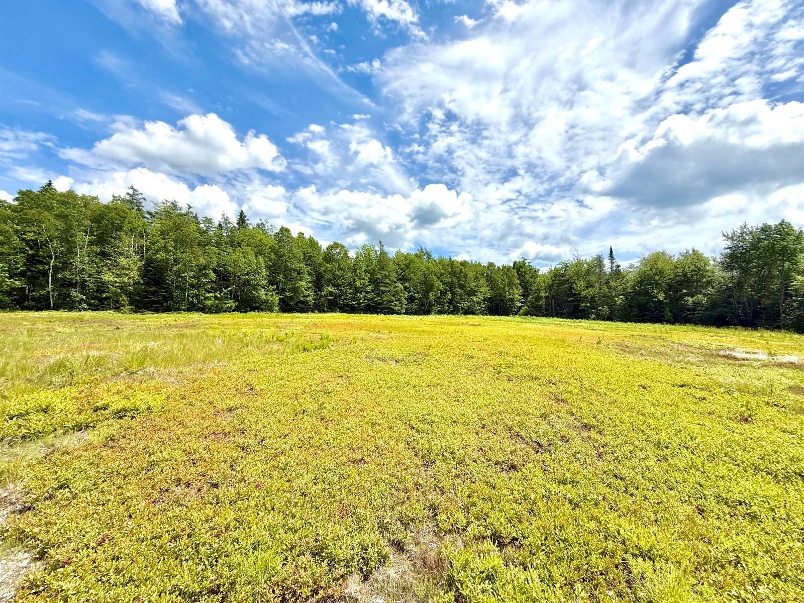 MAP13LOT9 Martins Ridge Road, Franklin, ME 04634