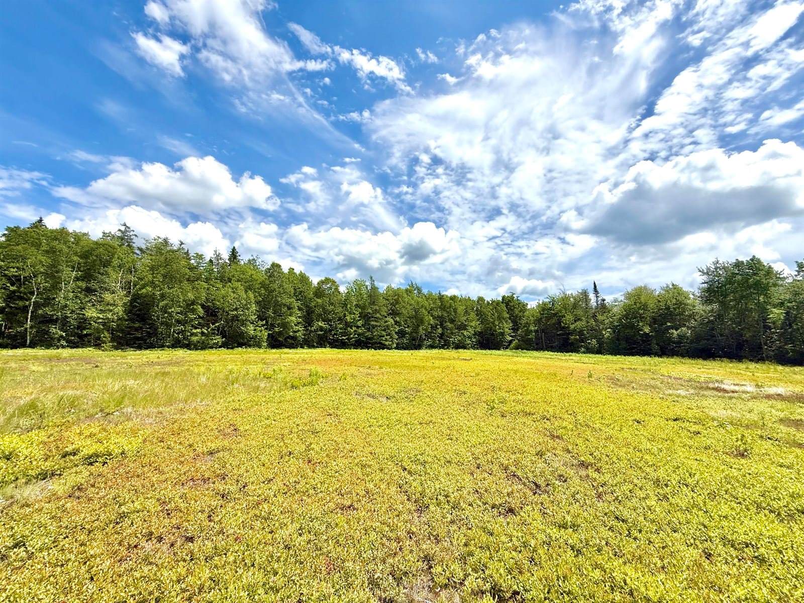 MAP13LOT9 Martins Ridge Road, Franklin, ME 04634