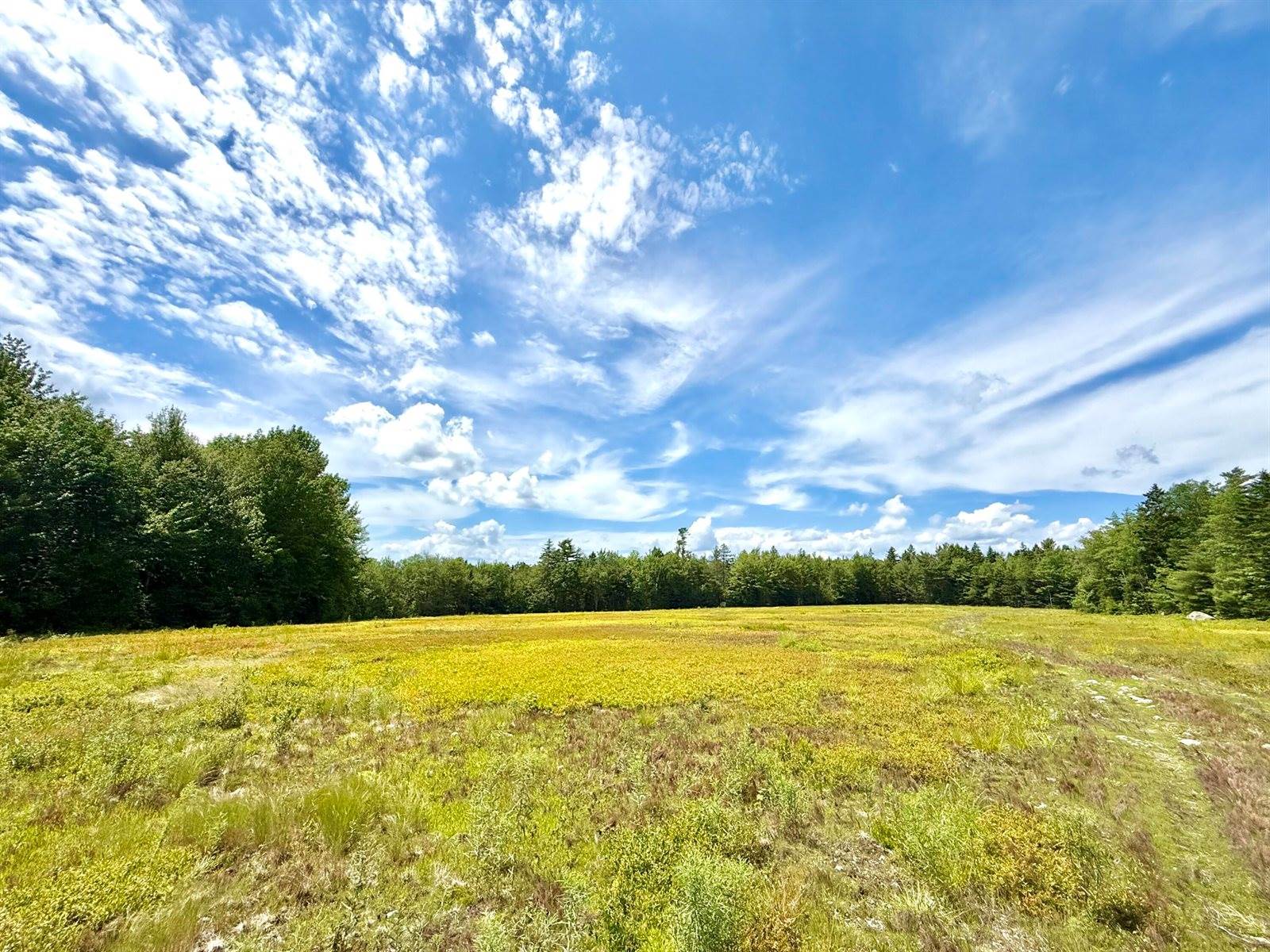 MAP13LOT9 Martins Ridge Road, Franklin, ME 04634
