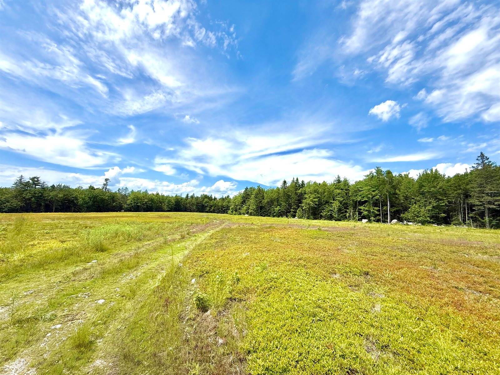 MAP13LOT9 Martins Ridge Road, Franklin, ME 04634