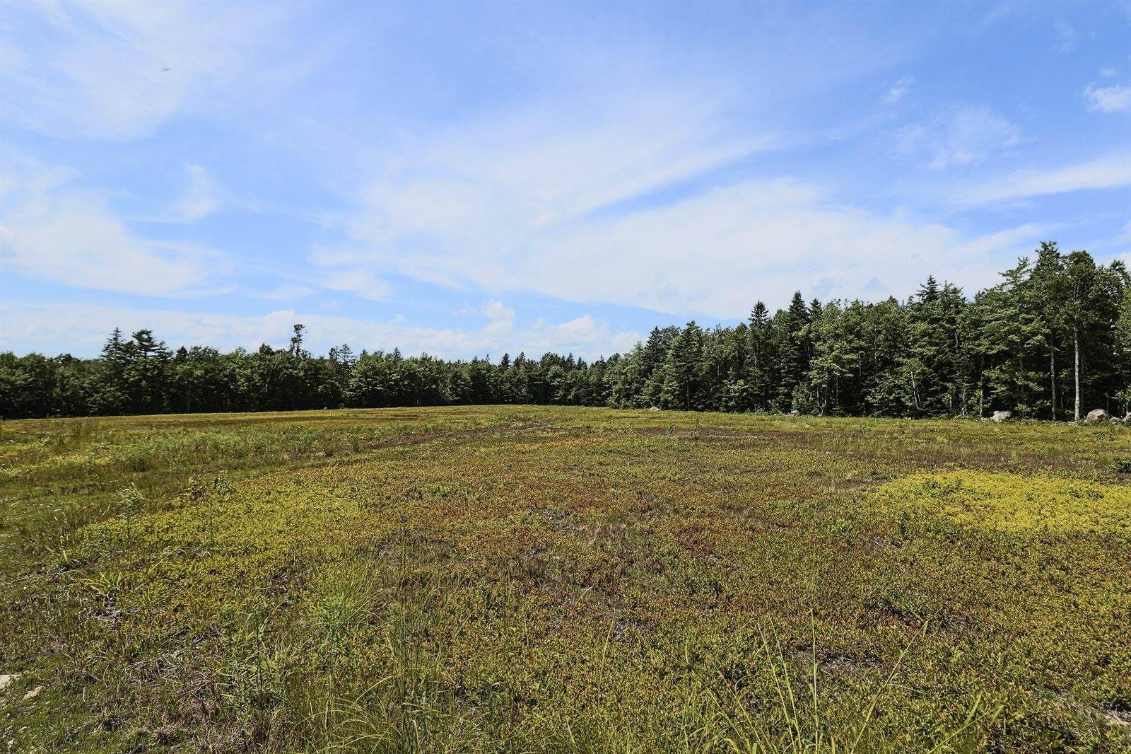 MAP13LOT9 Martins Ridge Road, Franklin, ME 04634