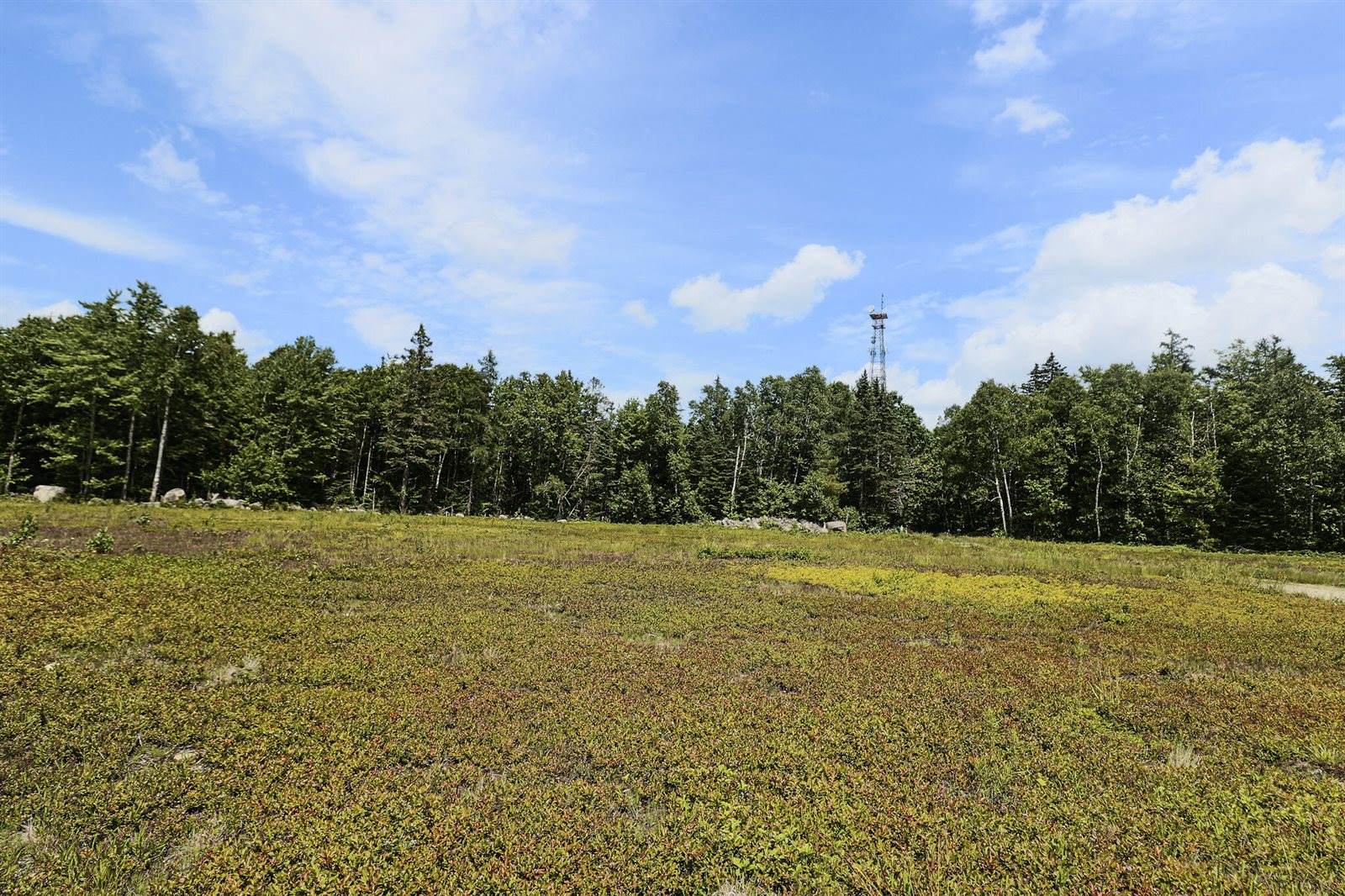 MAP13LOT9 Martins Ridge Road, Franklin, ME 04634