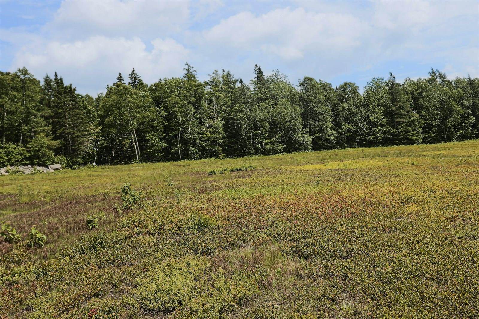 MAP13LOT9 Martins Ridge Road, Franklin, ME 04634