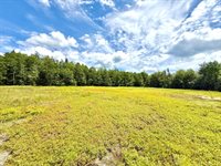 MAP13LOT9 Martins Ridge Road, Franklin, ME 04634